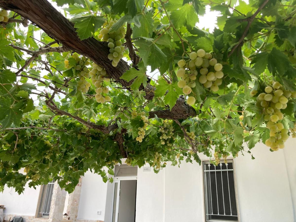Il Casale Di Brunella 모노폴리 외부 사진