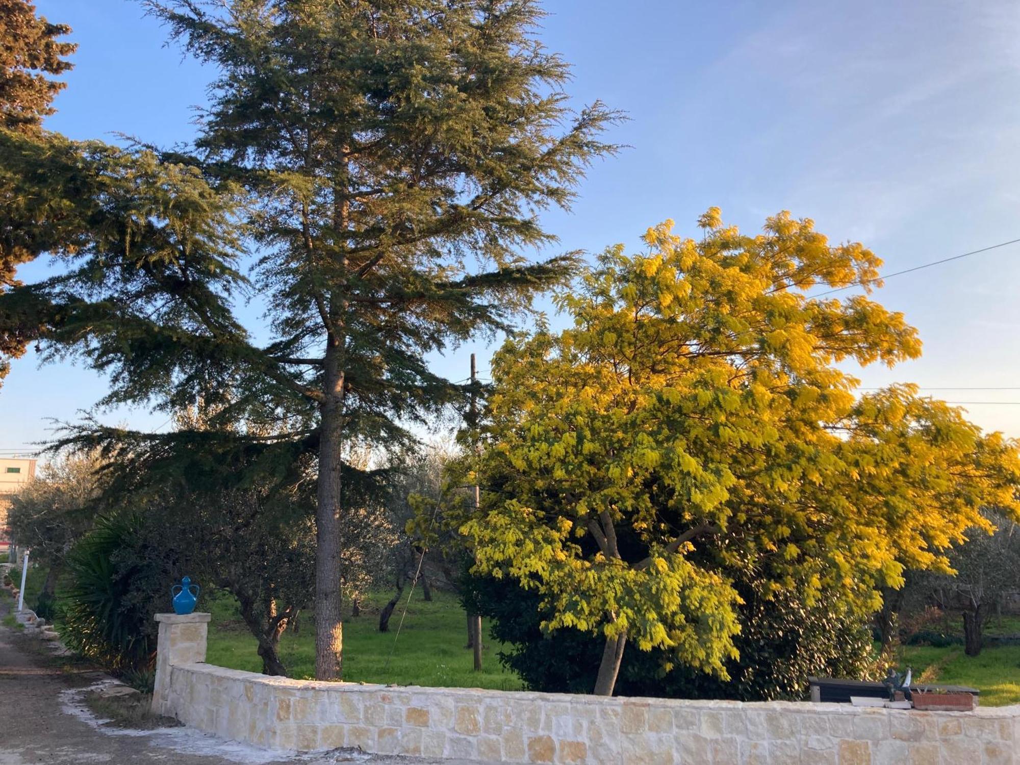 Il Casale Di Brunella 모노폴리 외부 사진
